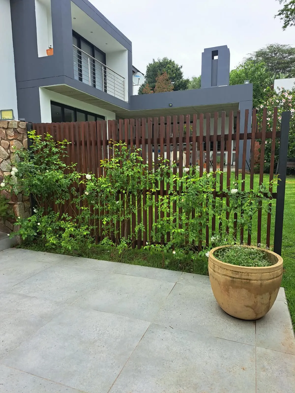 A dark-stained slatted timber screen between a paved patio and a lawn, with climbing roses in front